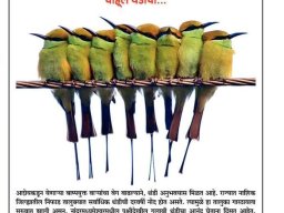 Press Releases